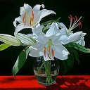 ���� �������, �����������, 61 ��� - ��������� 22 ����� 2015 � ������ ���� ����������