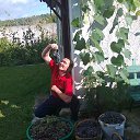 ���� ���, �����, 42 ���� - ��������� 29 ������ 2015 � ������ ������ ��������