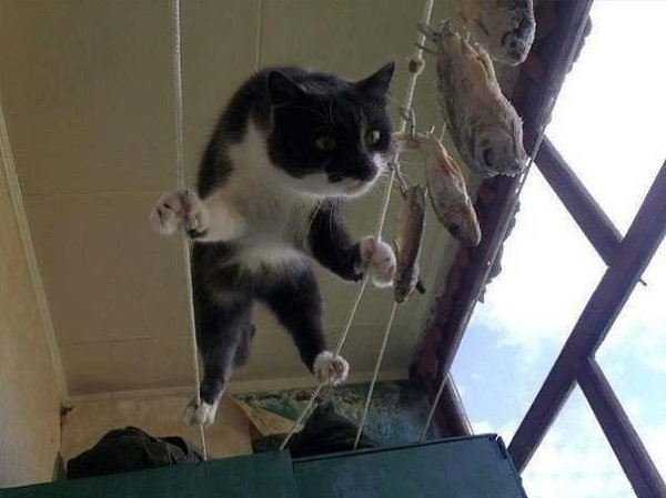 В жизни главное – мотив!