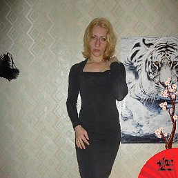 ���� ���������, ������, 41 ��� - ��������� 14 ����� 2015