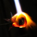 ���� �����, �����-���������, 40 ��� - ��������� 16 ����� 2015