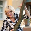 ���� �������, ������, 76 ��� - ��������� 15 ������� 2014 � ������ ���� ����������