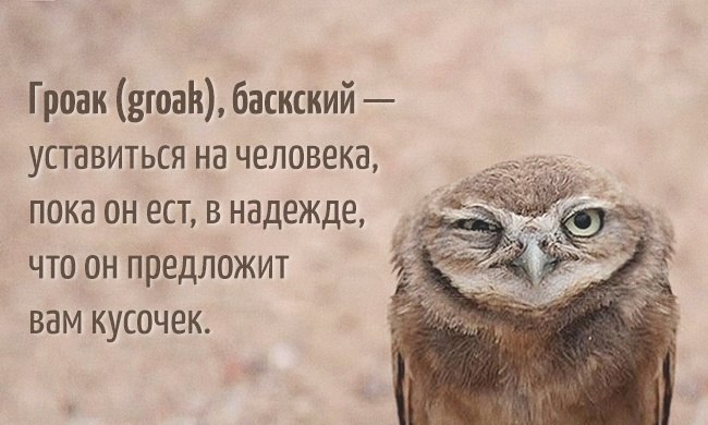 20 слов, которых нет в русском языке.Русский — невероятный язык, ведь в нем парой слов можно ...