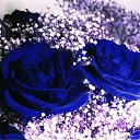 ���� ������, ��������� - ��������� 13 ������� 2014 � ������ ������ ��������