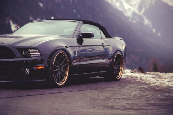 Shelby GT500 - 2