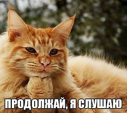 Kошки Kрошки - 18 декабря 2014 в 18:54 - 2