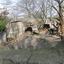 ���� �������, �����������, 72 ���� - ��������� 6 ������� 2015 � ������ ��������.�������.2011�