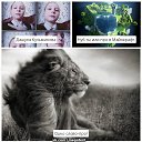 ���� �����, ��������, 22 ���� - ��������� 19 ����� 2015 � ������ ������ ��������