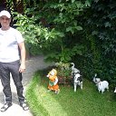 ���� ����, �����, 39 ��� - ��������� 17 ������� 2015