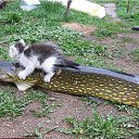 ���� Nik, ���, 65 ��� - ��������� 13 ������ 2015 � ������ ������ ��������