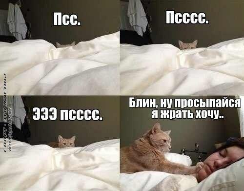 , )