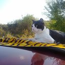 ���� ��������, ����������, 68 ��� - ��������� 31 ����� 2015 � ������ ������ ��������