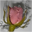 ���� �����!!������� ������, ������������ - ��������� 22 ������� 2015 � ������ �������� ��������