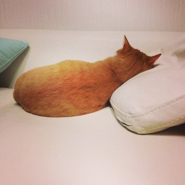  ,   ,     :3