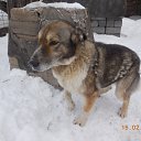 ���� �����, �����������, 62 ���� - ��������� 28 ������� 2015 � ������ ���� ����������