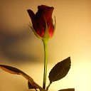 ���� Stas, ������ - ��������� 10 ������ 2015