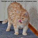 ���� ������, ��������������� - ��������� 13 ������ 2015 � ������ ������