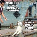 ���� ������, ��������, 39 ��� - ��������� 24 ������ 2015 � ������ ������ ��������