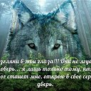 ���� Rok76i, �����-���������, 49 ��� - ��������� 24 ������� 2014 � ������ �������