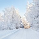 ���� �����, �������, 47 ��� - ��������� 16 ����� 2015 � ������ ������ ��������
