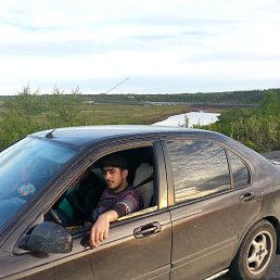 �����, ��������, 36 ���