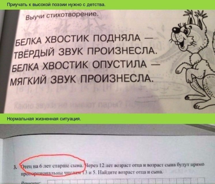    - 6