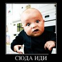 ���� Kosta, �����������, 43 ���� - ��������� 9 ������ 2015