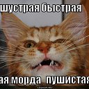 ���� ������, ��������������� - ��������� 13 ������ 2015 � ������ ������