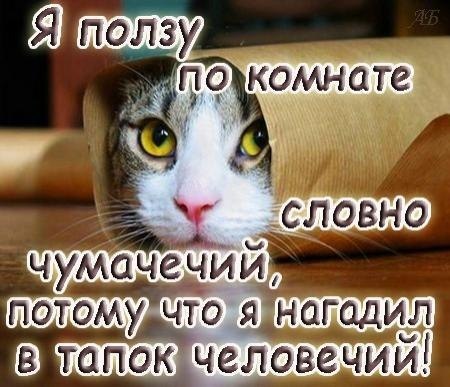       - 21  2015  20:34