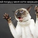 ���� Moment, ����� - ��������� 5 ������ 2015 � ������ ������ ��������