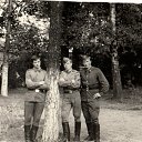 ���� �������, �����, 74 ���� - ��������� 15 ������� 2014 � ������ ������ ��������