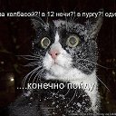 ���� �����, ���� - ��������� 23 ������� 2014 � ������ ������ ��������