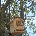 ���� ������, ����������, 73 ���� - ��������� 8 ������ 2015 � ������ ���� �������