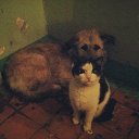 ���� �����, �������, 39 ��� - ��������� 21 ������� 2015 � ������ ������ ��������