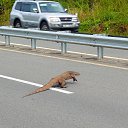 ���� ����, ����������� - ��������� 13 ������ 2015 � ������ ���� �����