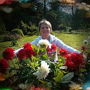 ���� ����, �����������, 52 ���� - ��������� 25 ������ 2015 � ������ ���� ����������