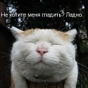 ���� ����, ������, 56 ��� - ��������� 18 ������� 2015 � ������ ���� ����������