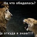 ���� Kolya, ����, 52 ���� - ��������� 31 ����� 2015 � ������ ���������