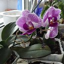 � ��� ���������� �������...������, �� ��� ����� ������ ���������!! �� ������� �������� �������.�