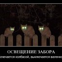 ���� ���������, �������, 62 ���� - ��������� 10 ������ 2015 � ������ ������ ��������