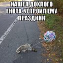 ���� �������, �������, 43 ���� - ��������� 1 ����� 2015 � ������ ������ ��������