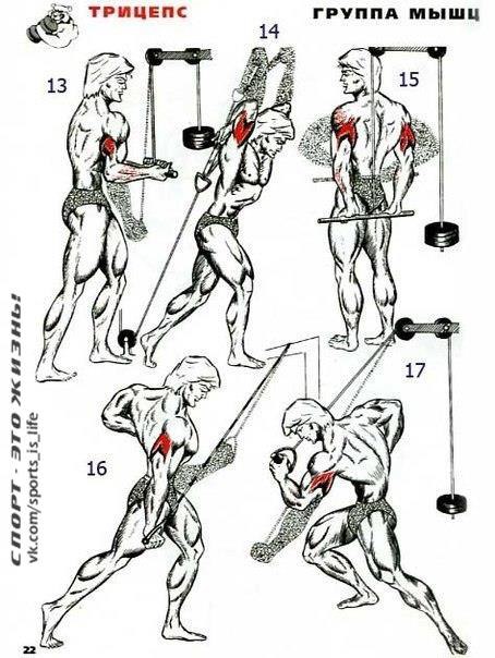 31    !     #SPORT_@sports_is_life - 4