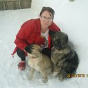 ���� �����, ����������, 53 ���� - ��������� 15 ������� 2015 � ������ ���� ����������