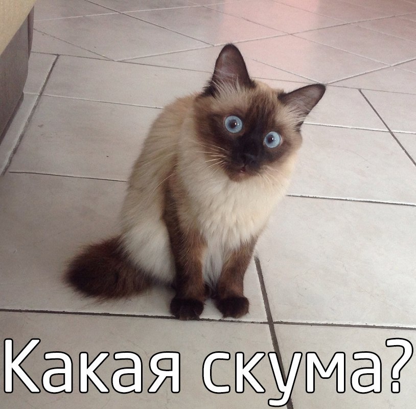 А так можно нет