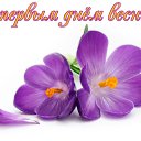 ���� ���, ��������� - ��������� 1 ����� 2015 � ������ ������ ��������