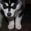 ���� ������, �����, 26 ��� - ��������� 20 ����� 2015 � ������ ��������