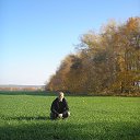 ���� �������, �����, 40 ��� - ��������� 31 ����� 2015