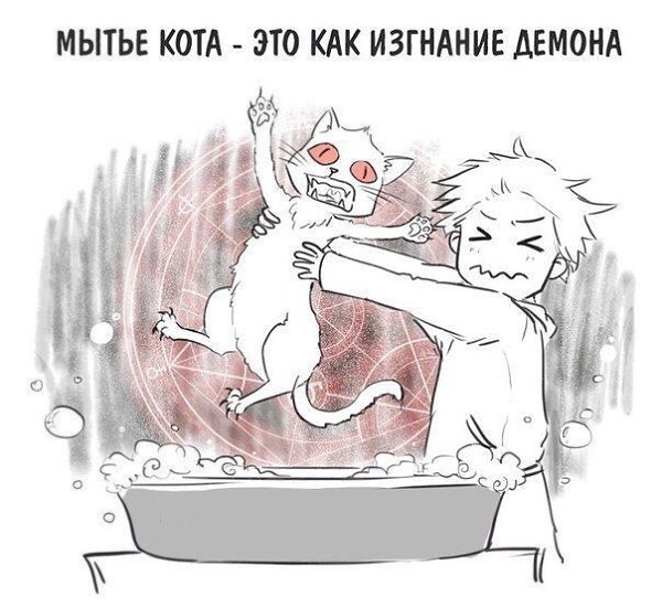 ��������� ��������� - 21 ������ 2015 � 15:37