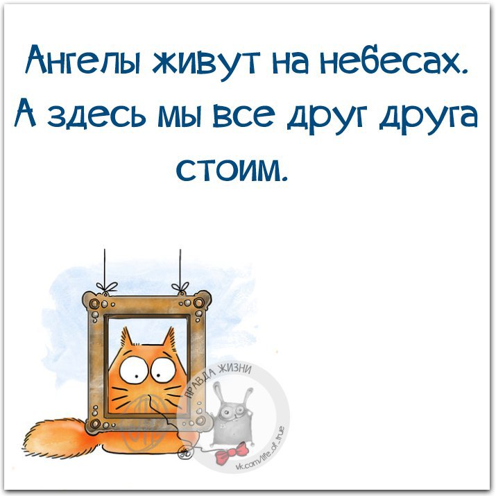   - 6  2015  22:20