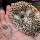 ���� ����, �����, 49 ��� - ��������� 6 ����� 2015 � ������ ������ ��������